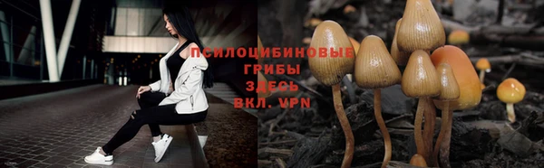 крисы Надым