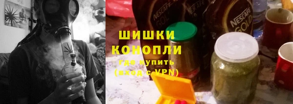 крисы Надым