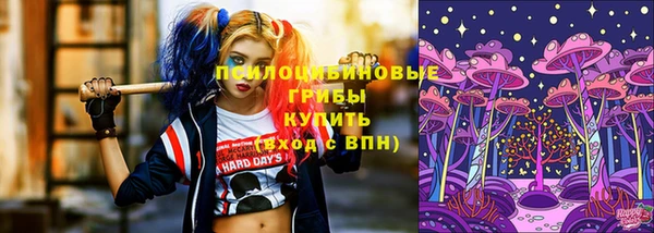 крисы Надым