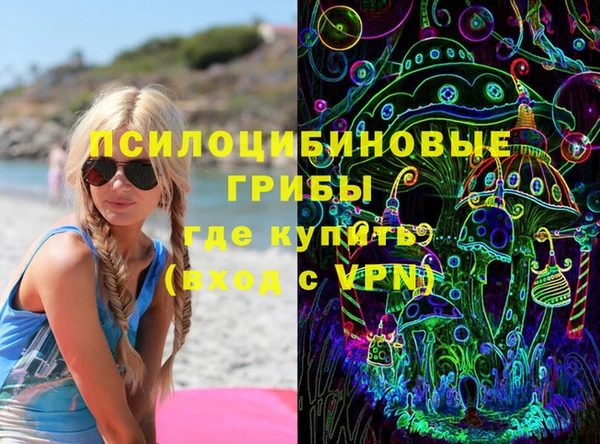 крисы Надым