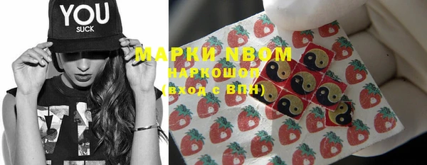 крисы Надым