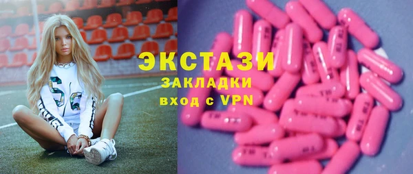 крисы Надым
