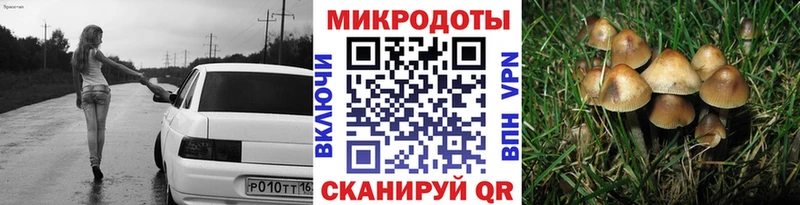 Псилоцибиновые грибы мицелий наркота Палласовка